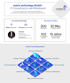 matrix Fact-Sheet IT-Consulting