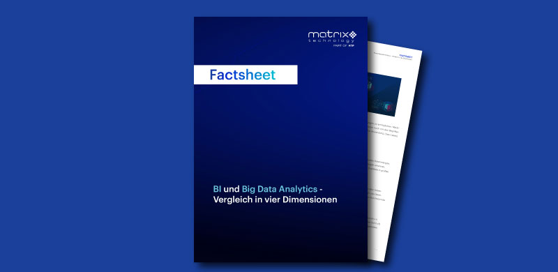 Factsheet BI und Big Data Analytics