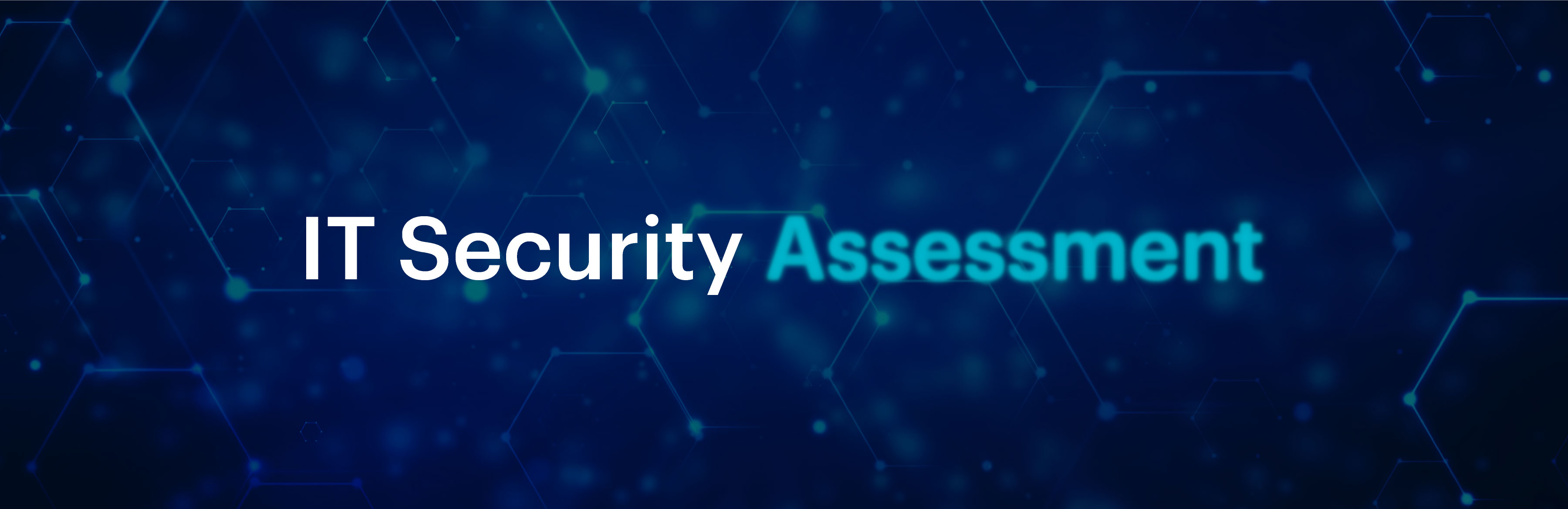 IT Security Assessment