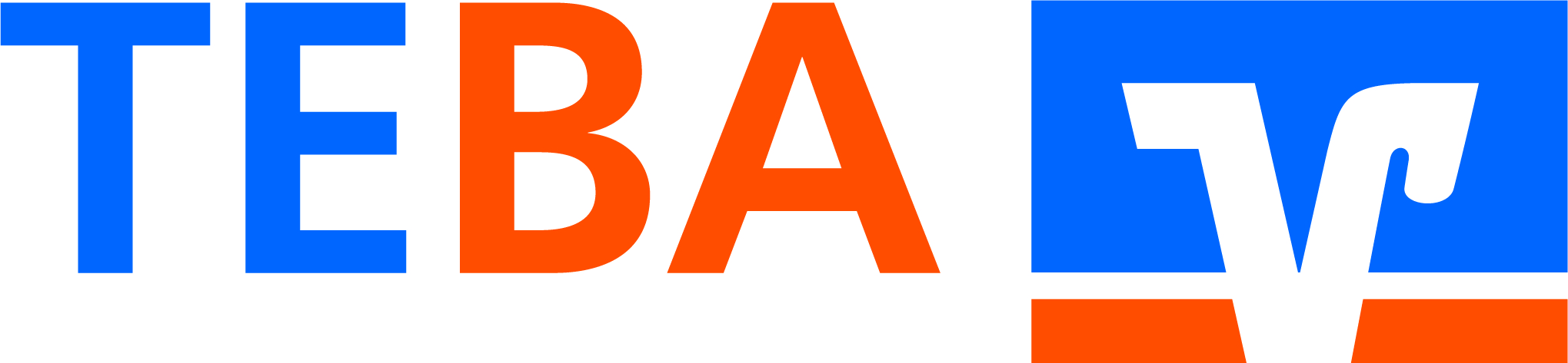 Logo TEBA | matrix technology